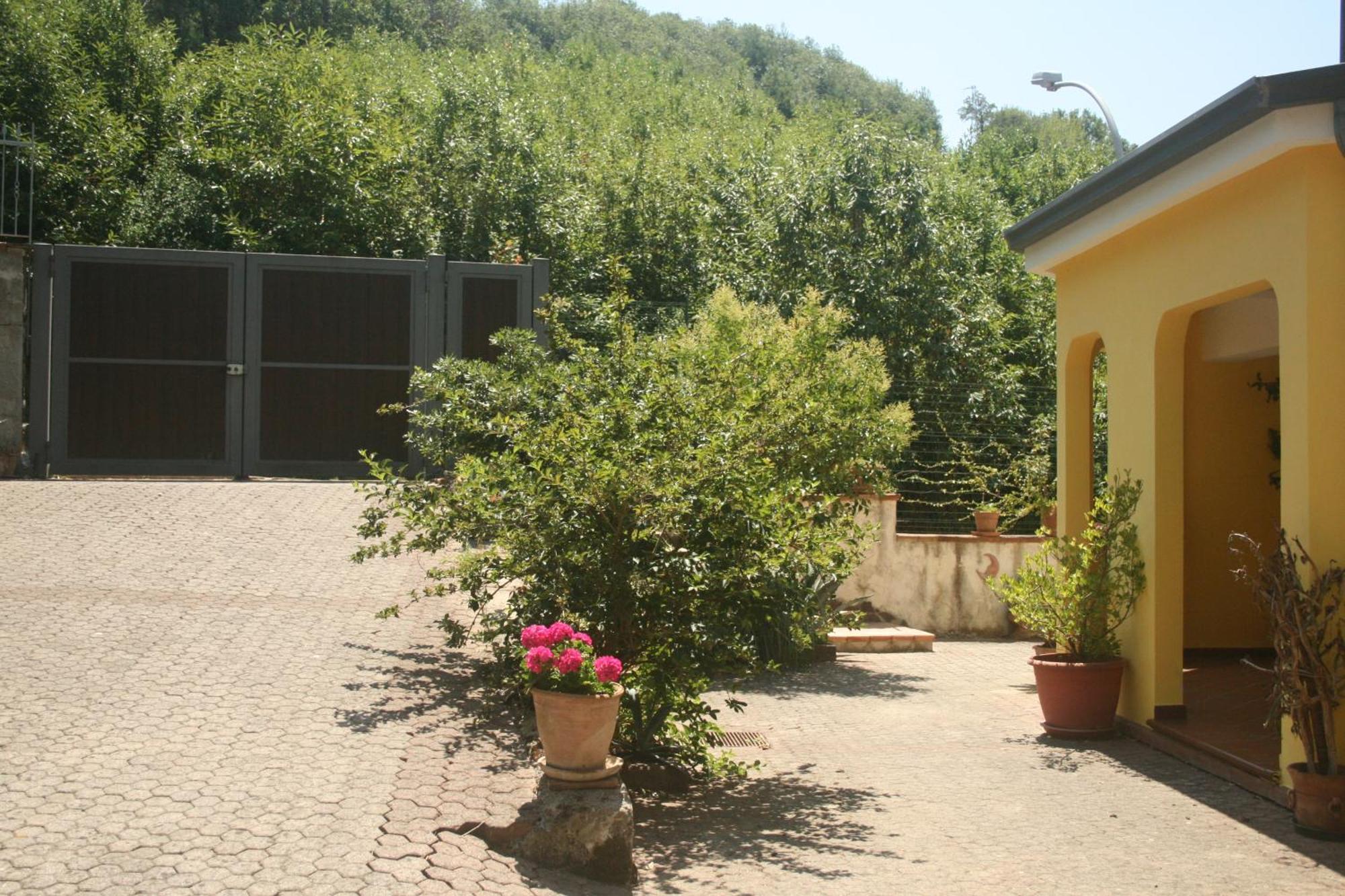 B&B Del Castagneto San Marco Argentano Cameră foto